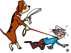 dog-taking-his-human-for-a-walk